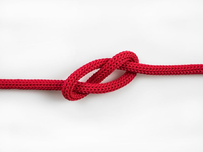 Causality Loops